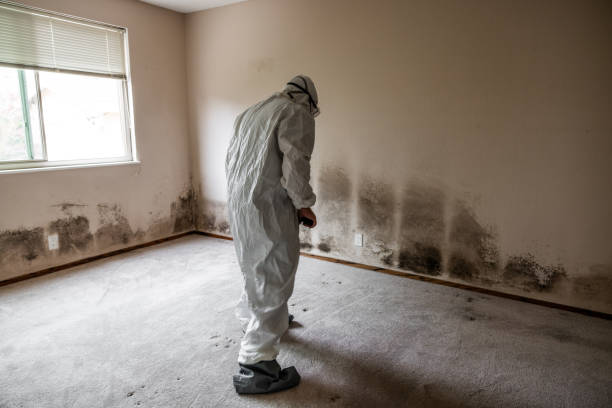 Best Fast Mold Removal  in Arkoma, OK